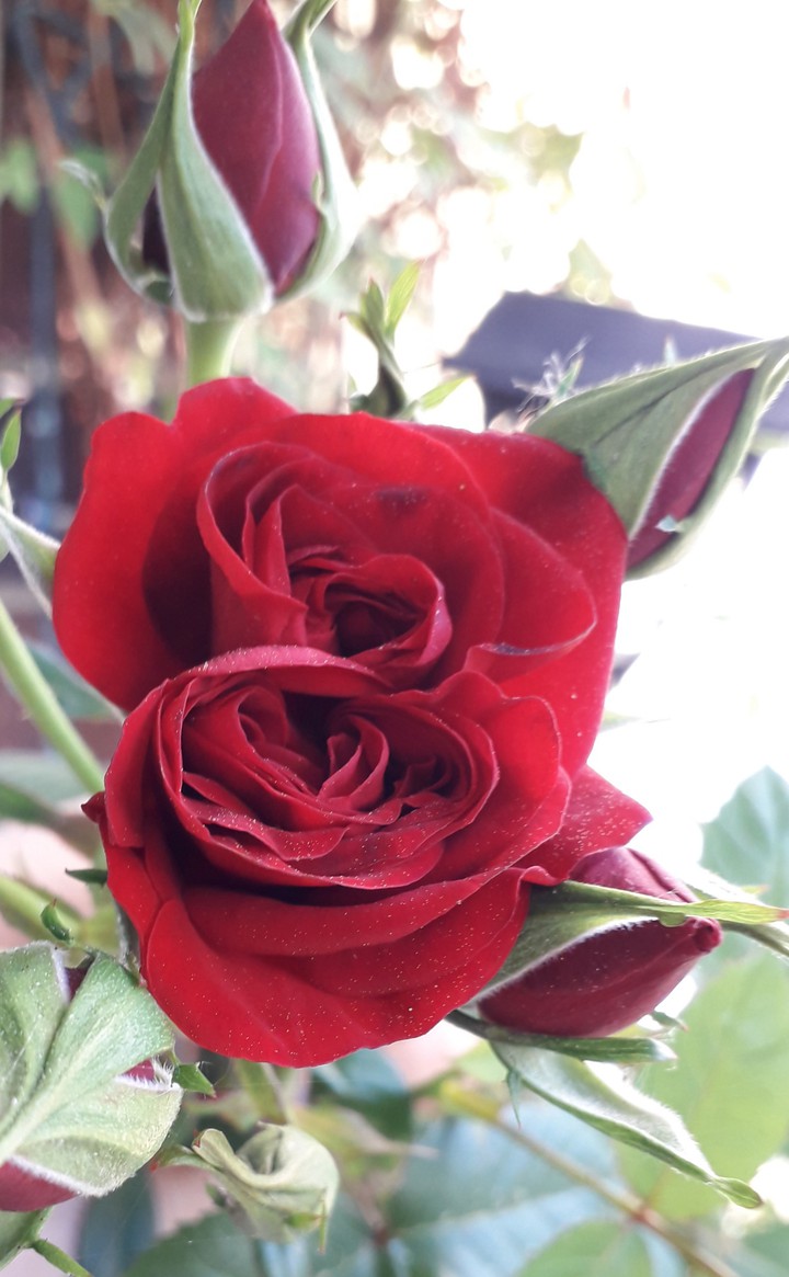 ♡