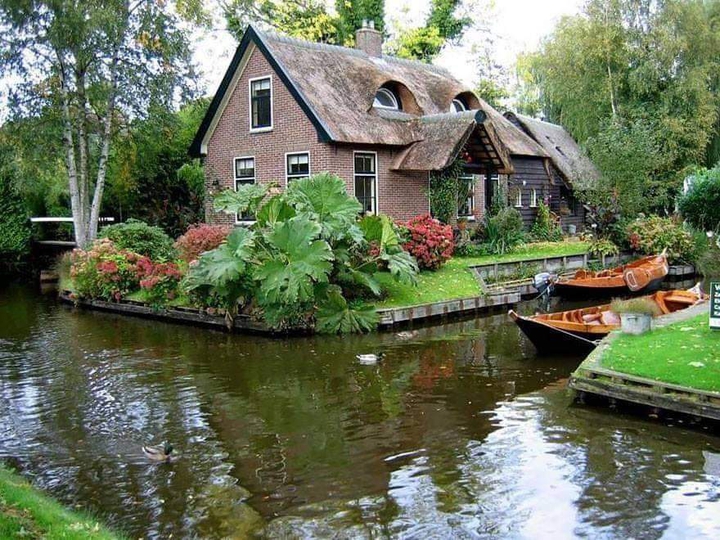 green home