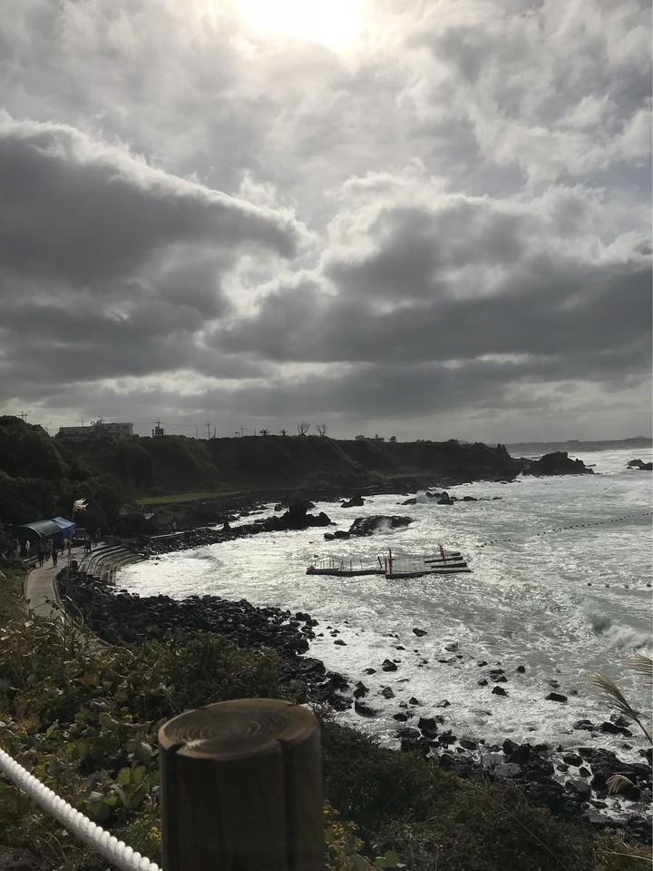 제주도파도