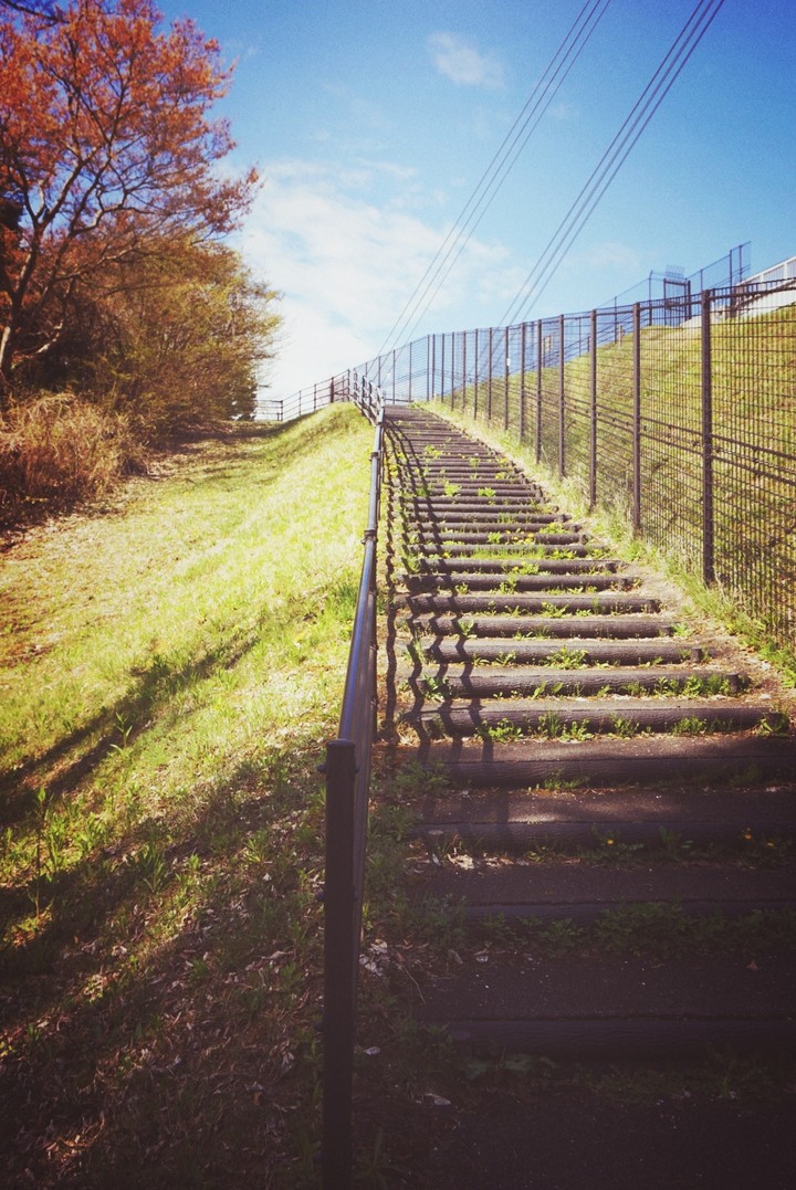 路