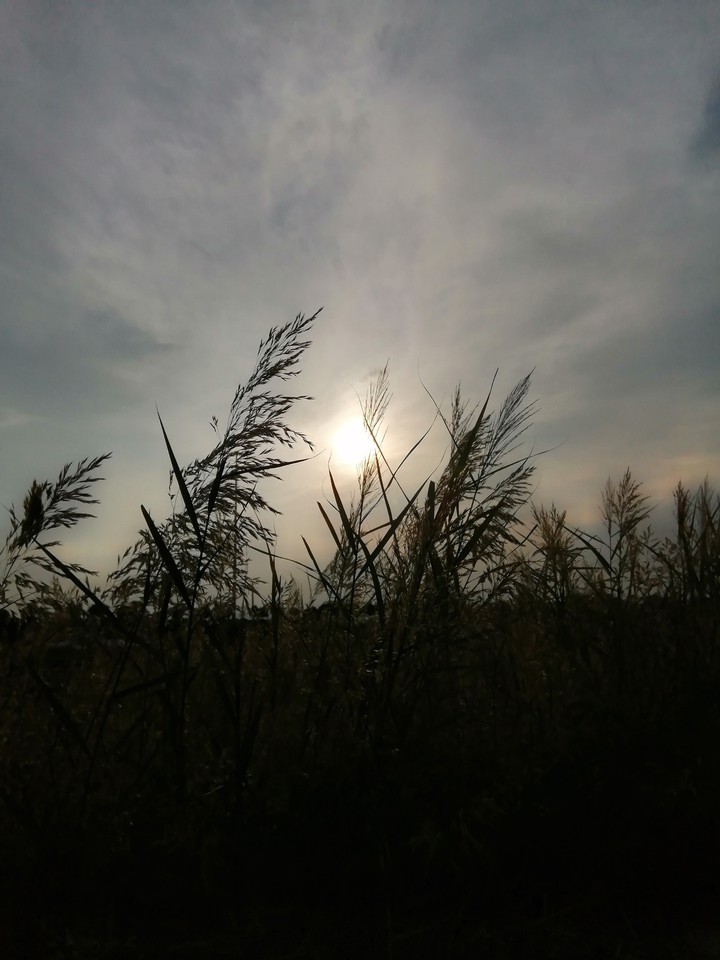 رودخانه قره سو
