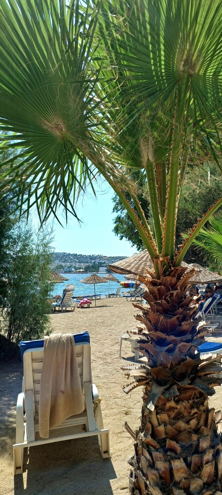 Goodbye Summer!
