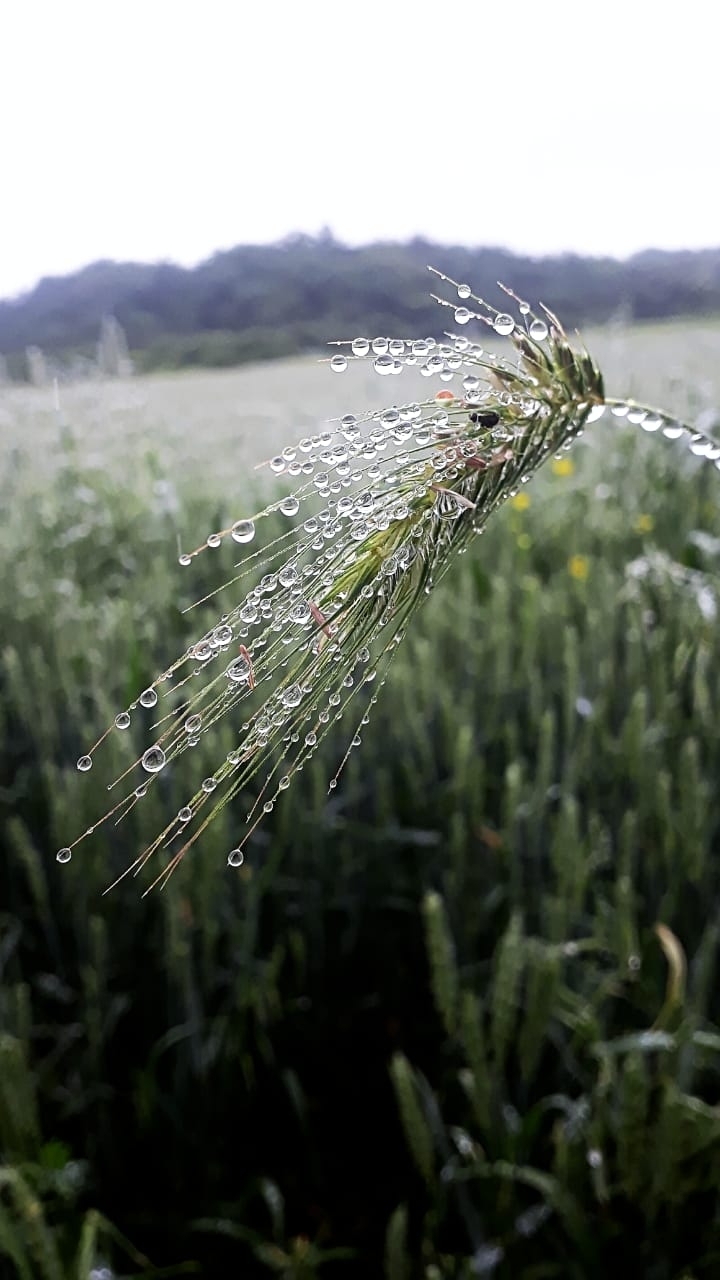rainy day