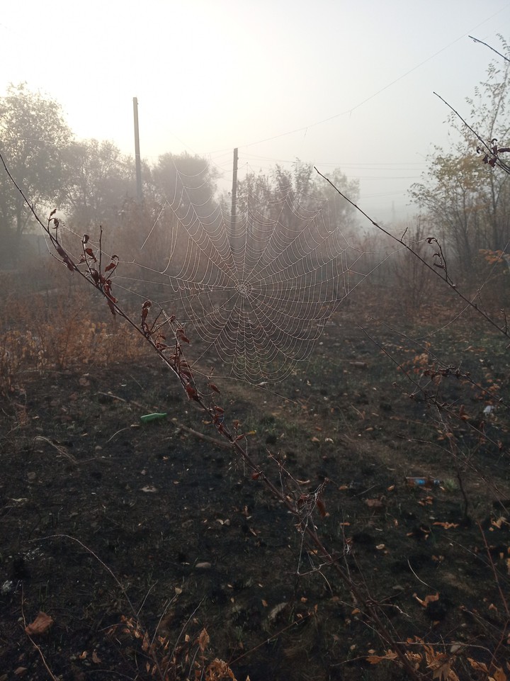 осень