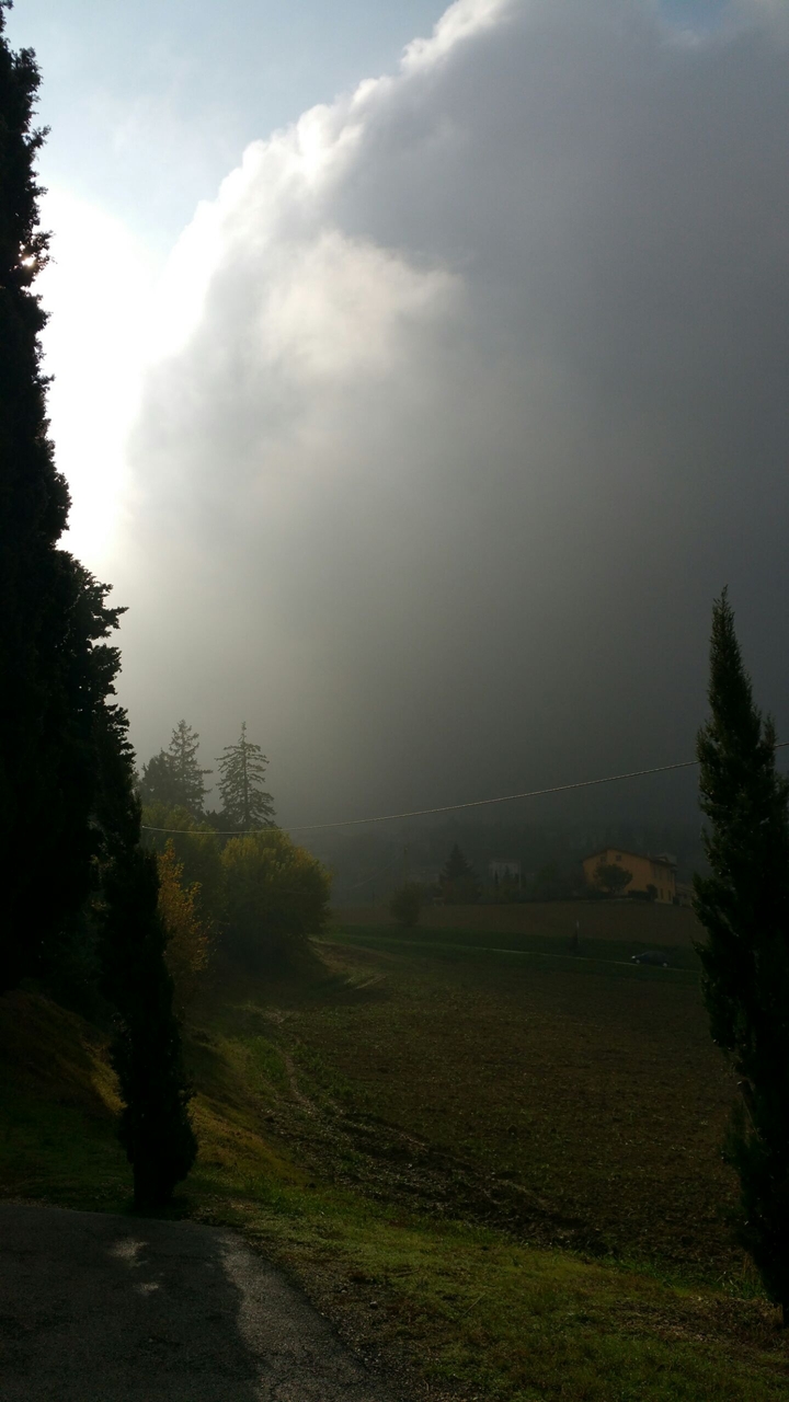 fog