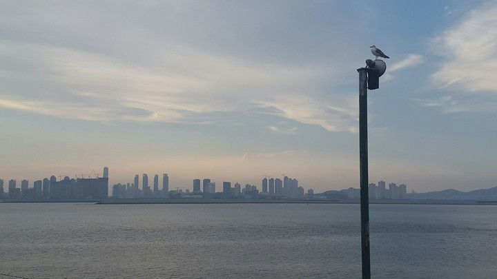 oi island
