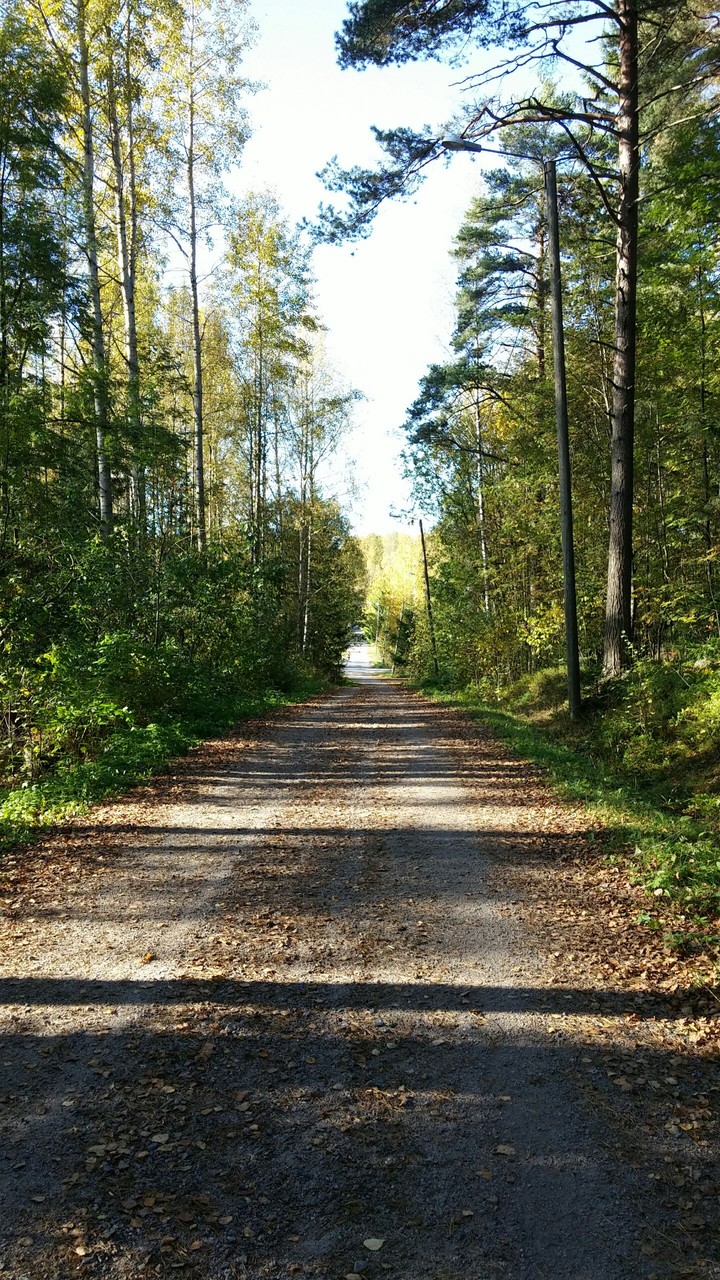 Finnish summer