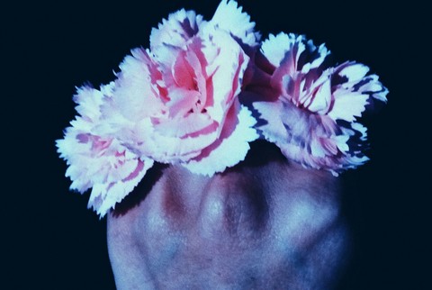 Crown of Flowers