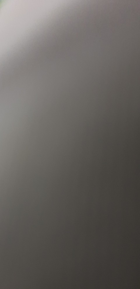 검정