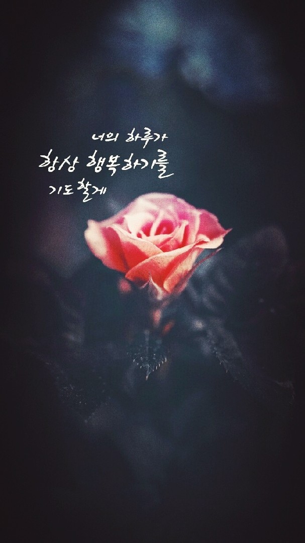 장미