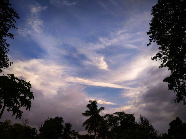 Mixed Weather
