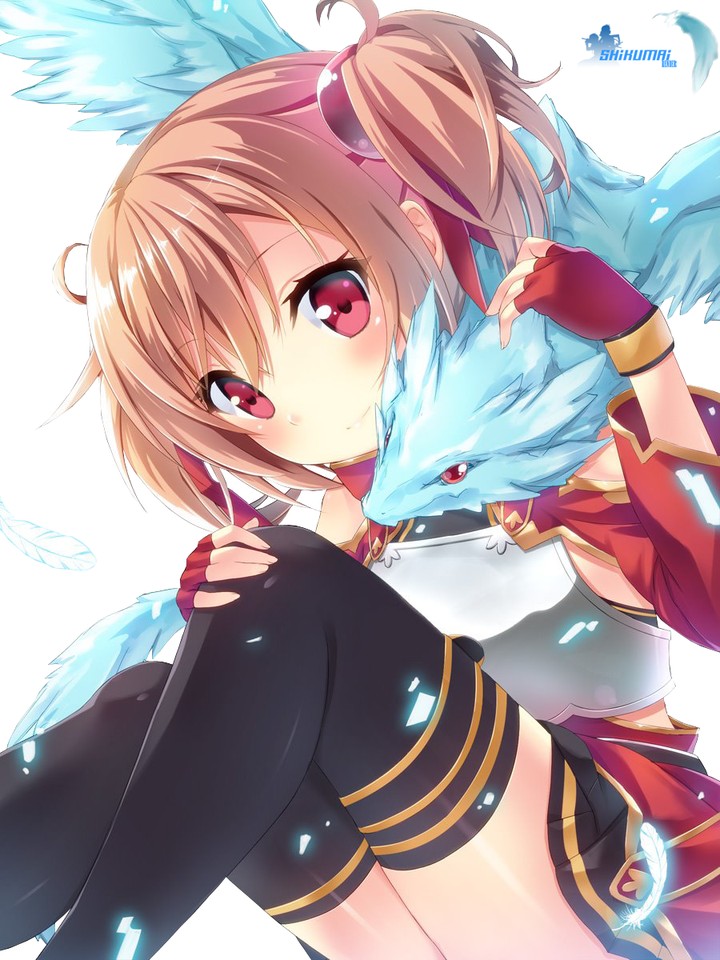 Anime: Sword Art Online