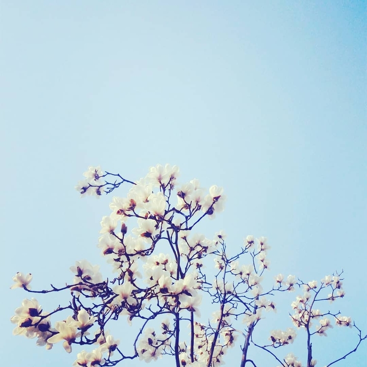 봄