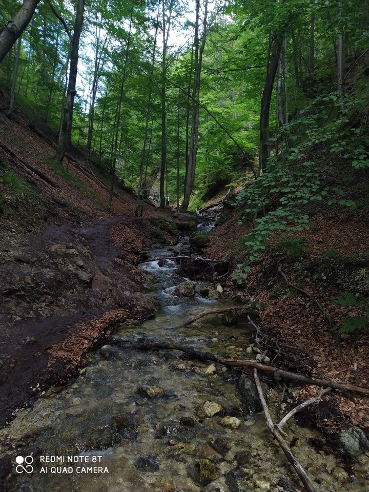 Stream