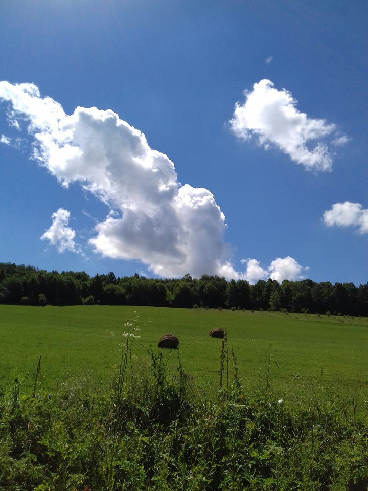 Summer days