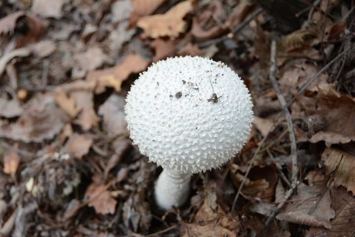 수락산이미지