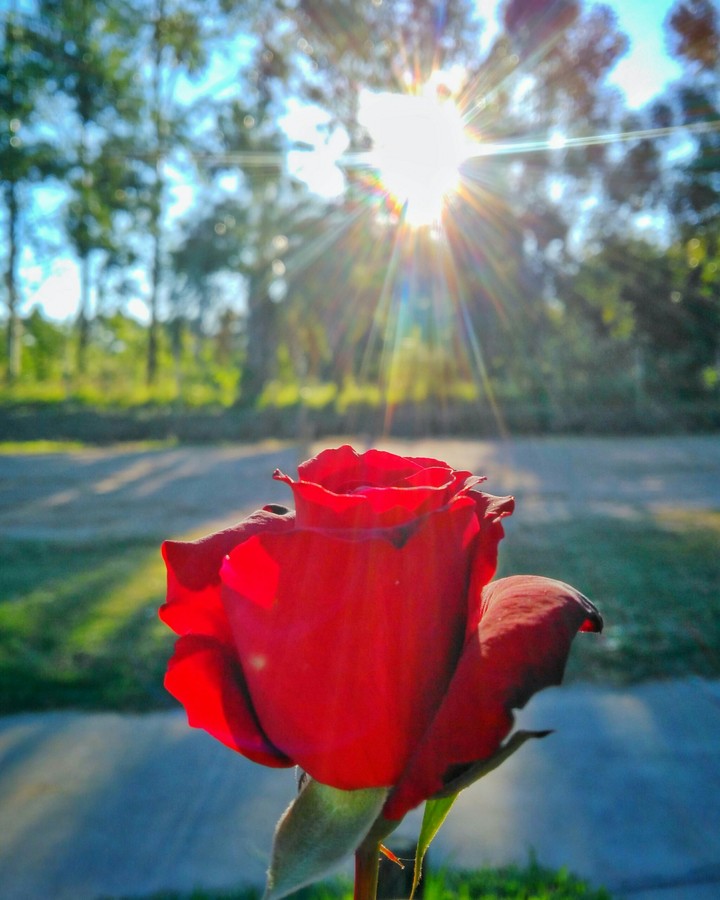 sun
