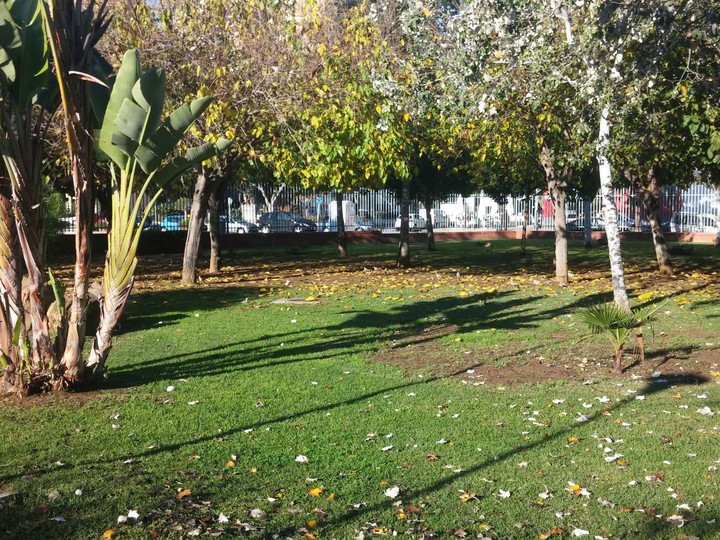 Libertad