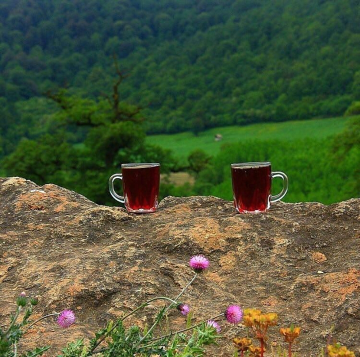 تو این فضا خیلی میچسپه