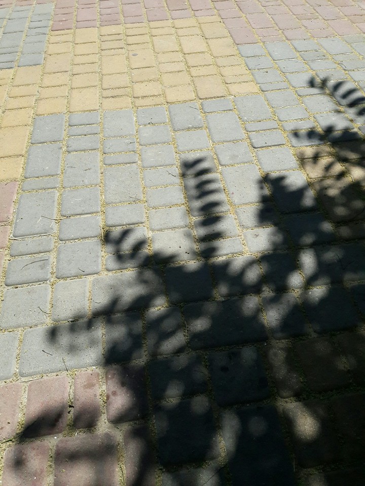 Three