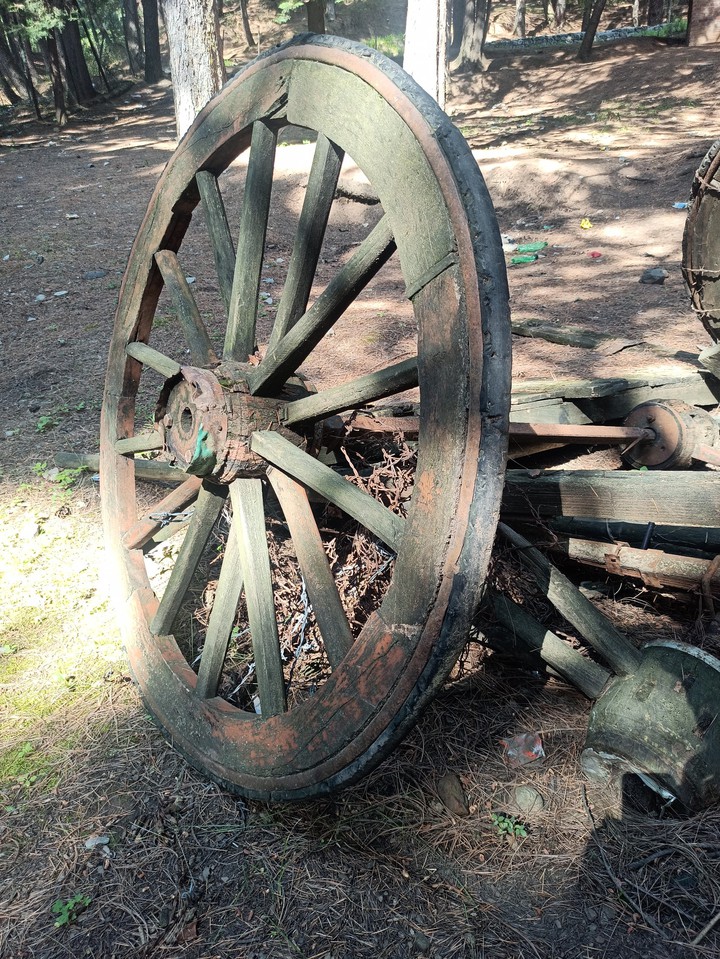 oldest...1800s