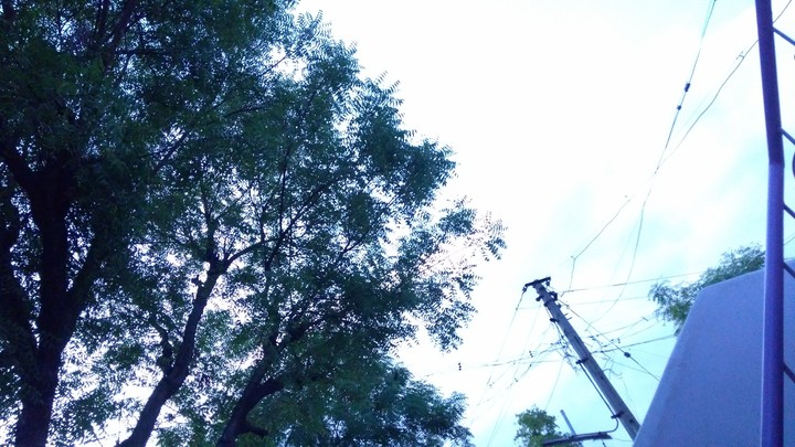 Sky
