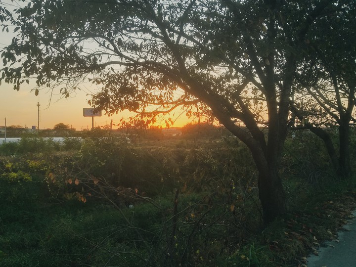풍경 landscape