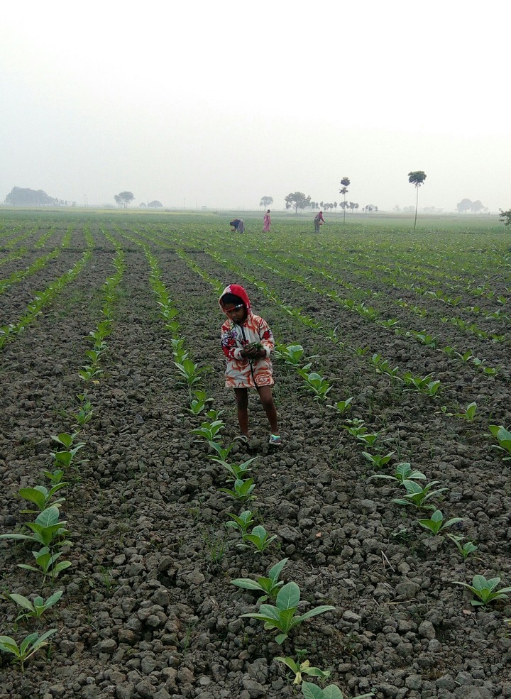 village life