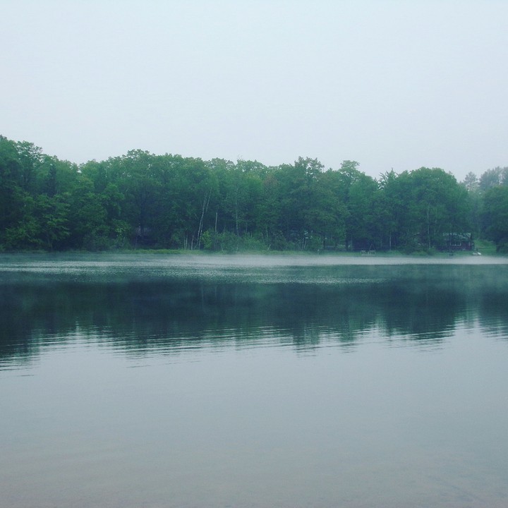 Lake Fog