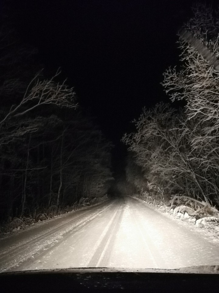 дорога домой
