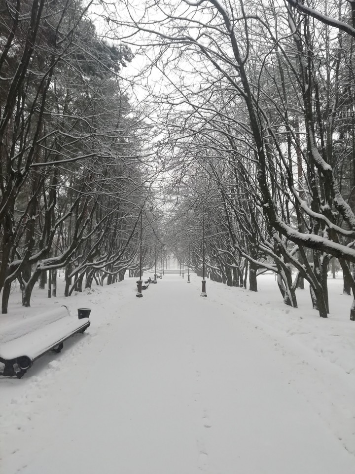 Зимний парк