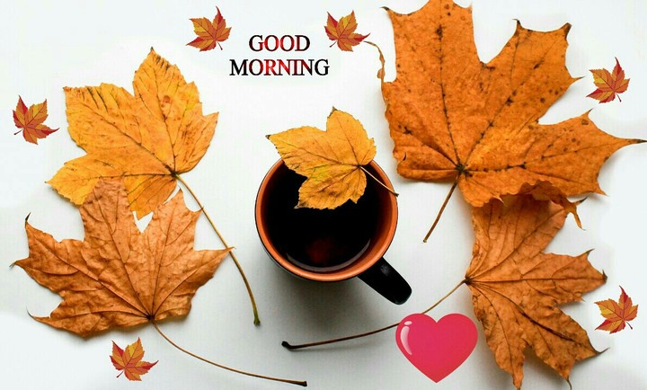 Good Morning.