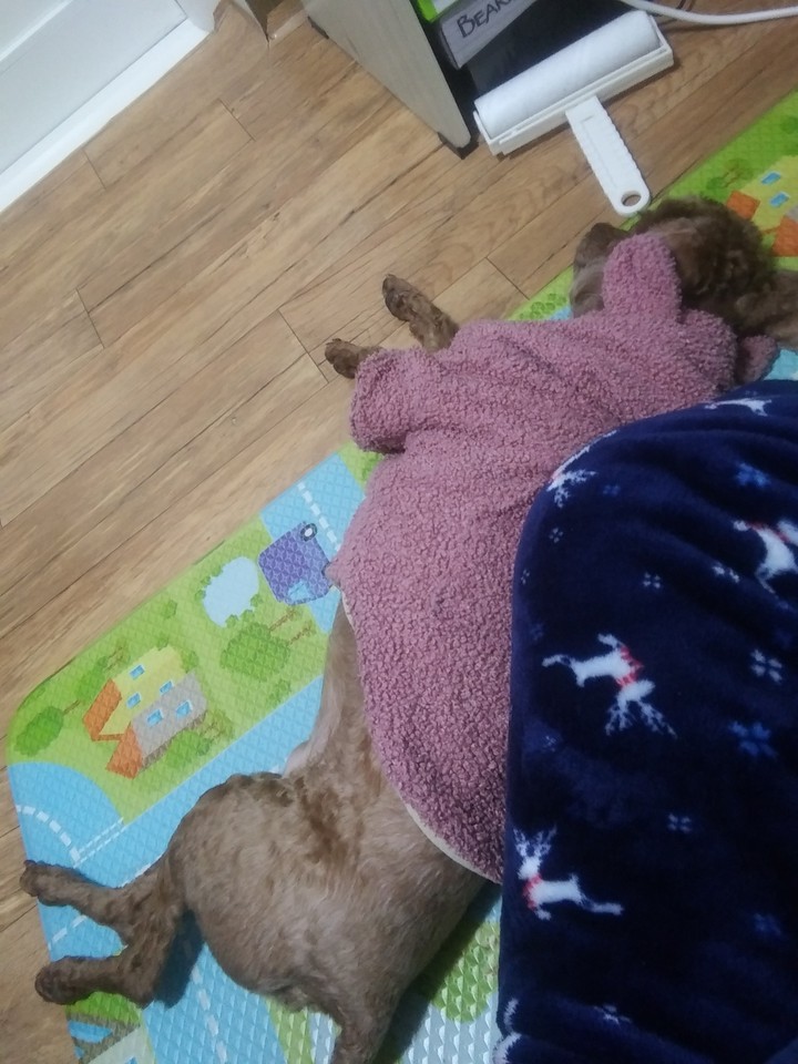 평안함