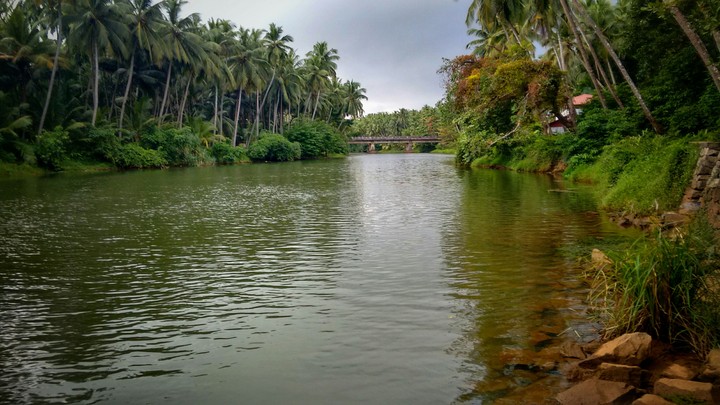 calicut