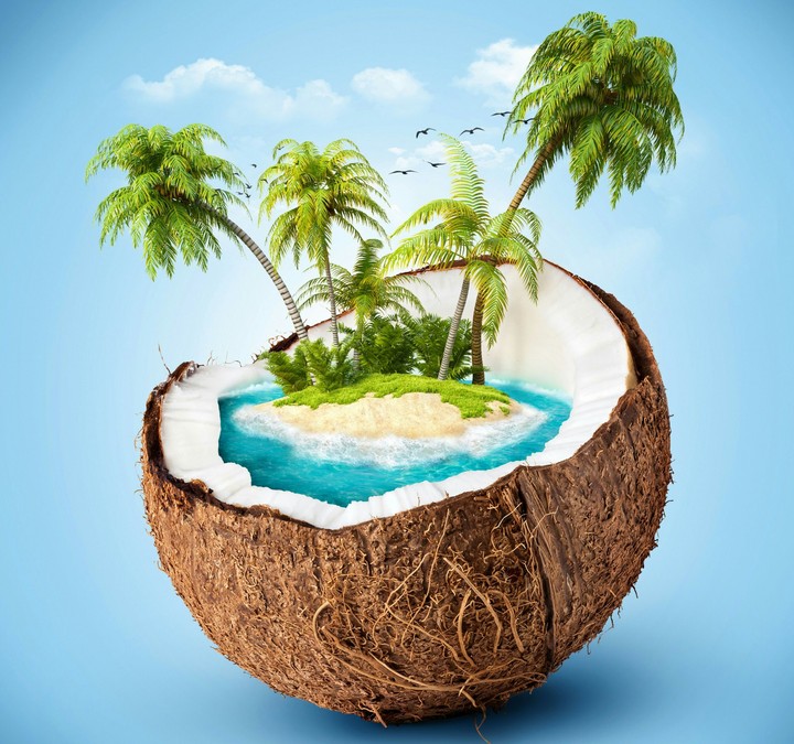Coconut island