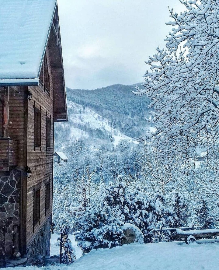 Winter dream's