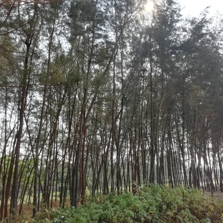 @thebeach @kerala