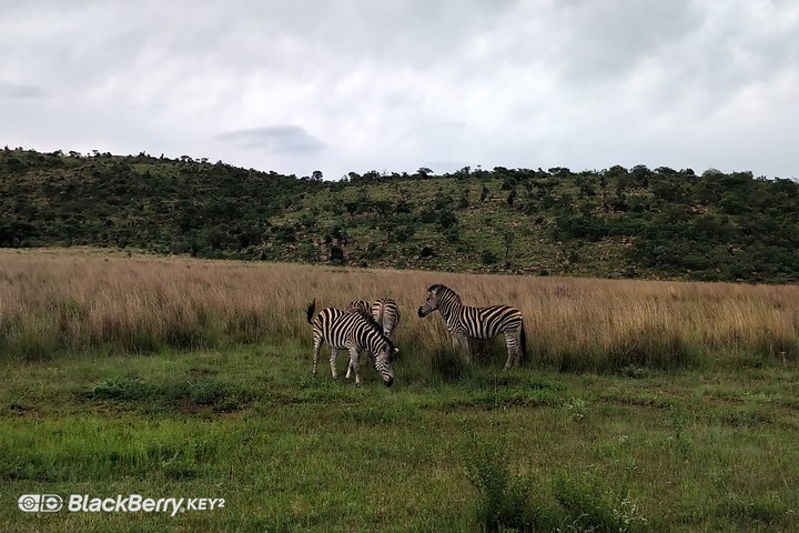 south africa