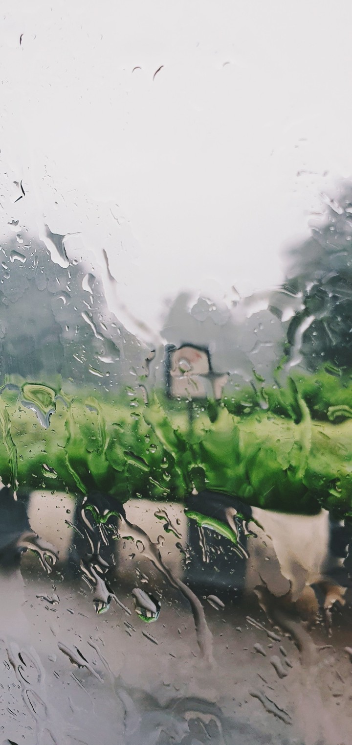Let it Rain
