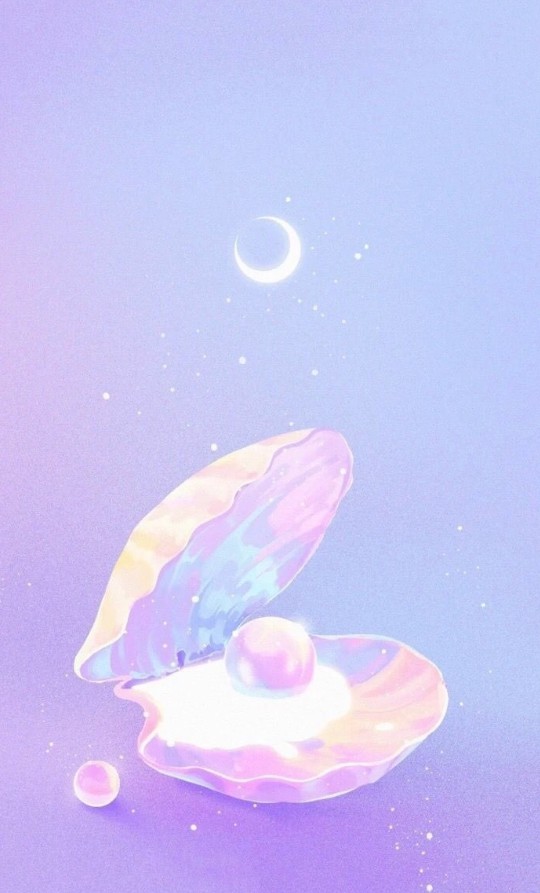 아름다운 조개