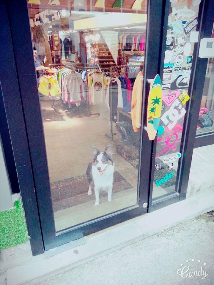 서울홍대거리