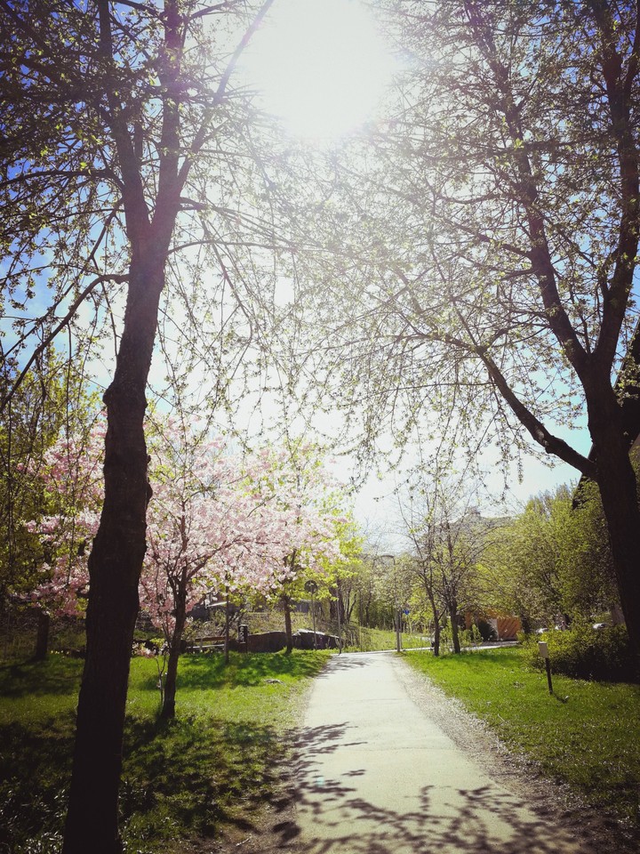 #sunny_day