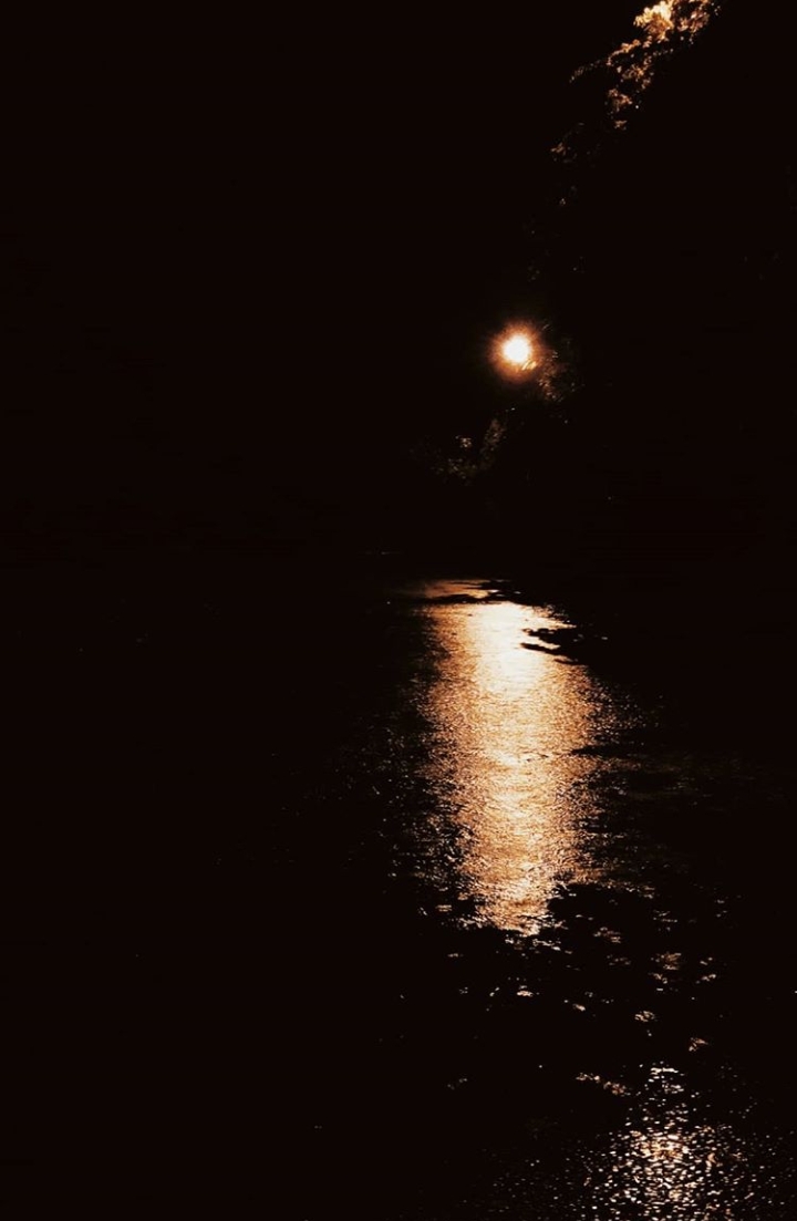 reflection