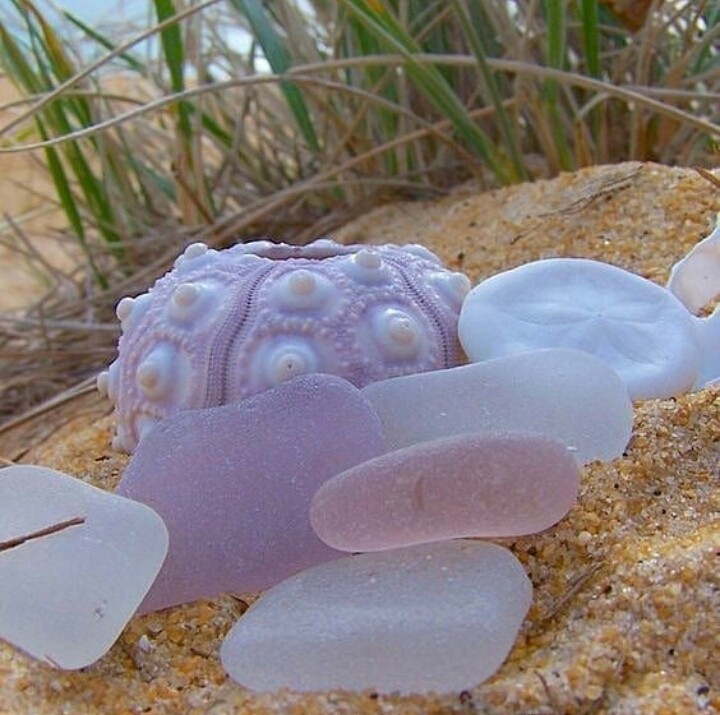 море