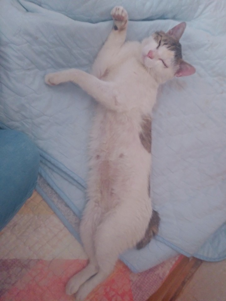 ㅎ