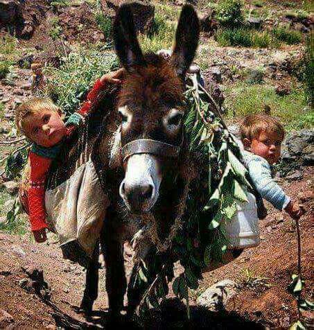 زندگی زیبا وساده