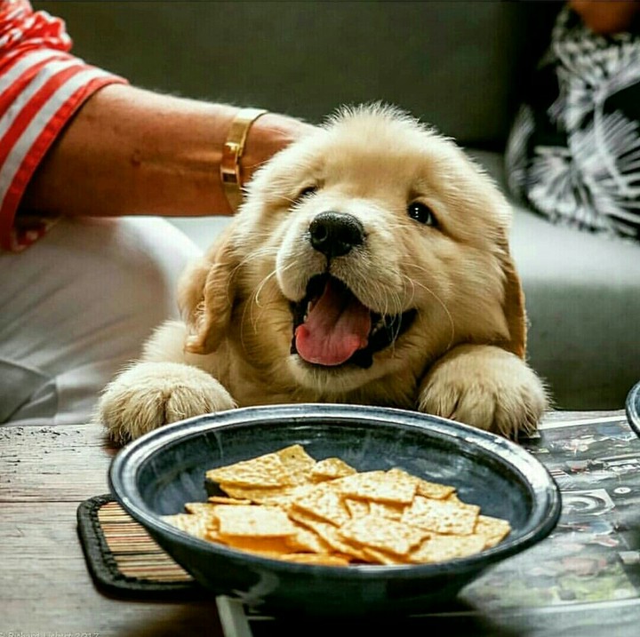 That smile!!❤✨