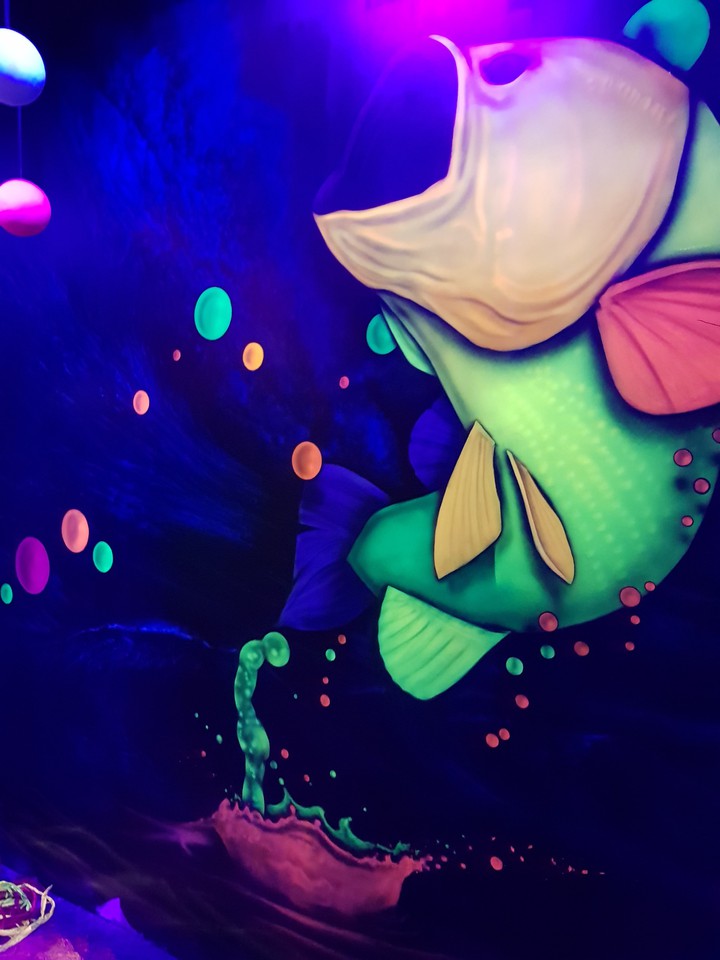 neon fish