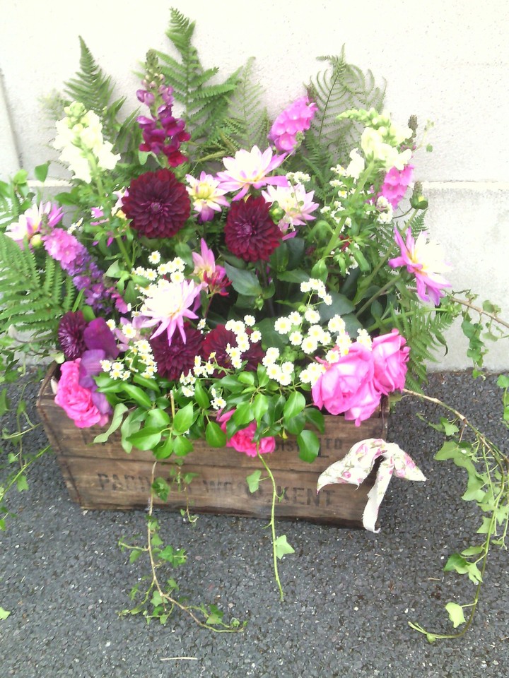 beautiful flowers