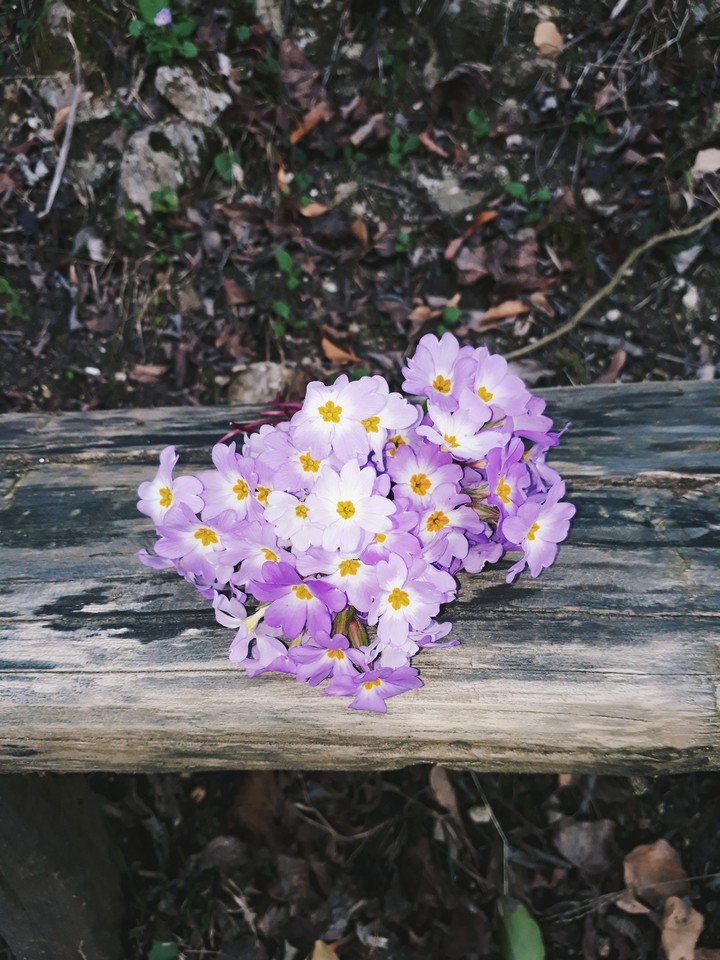 purple